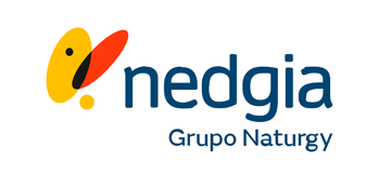 Grupo Naturgy  - Cliente SEOCOM